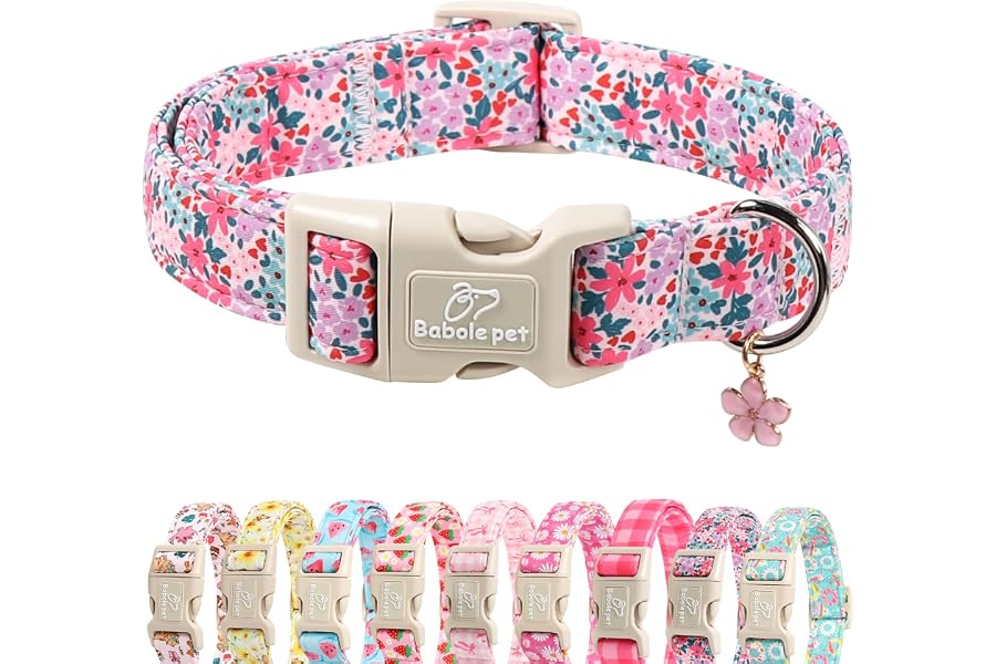 Babole Pet Floral Dog Collar, Cute Girl Dog Collars - Pastel Wildflowers Pattern Spring Summer Puppy Collar, Adjustable Female Dog Collars for Small Medium Large Dogs S