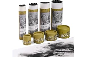 HAUSTGO 100PCS/PACK Willow Charcoal Sticks - Natural Willow Charcoal for Artists, Beginners, or Students of All Skill Levels - Perfect for Drawing and Sketching