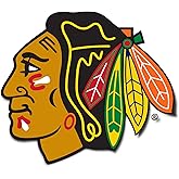Desert Cactus Chicago Blackhawks Team NHL National Hockey League Sticker Vinyl Decal Laptop Water Bottle Car Scrapbook (Individual A)