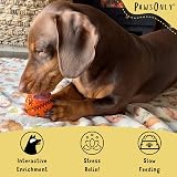 PawsOnly Interactive Treat Dispenser Ball Small Orange Dog Toy view 2