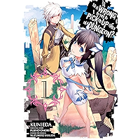 Is It Wrong to Try to Pick Up Girls in a Dungeon? Vol. 1 book cover