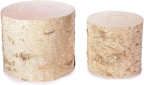 troncos decorativos color abedul