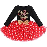 Baby Girl 1st 2nd 3rd Birthday Outfit Mouse Dress Polka Dots Tutu Skirt Cake Smash Long Sleeve Clothes for Photo Shoot