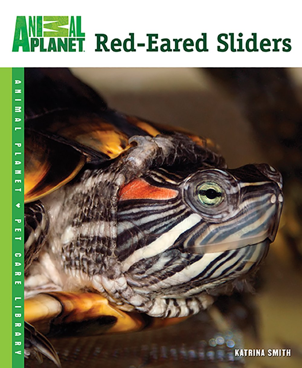 red eared slider pet