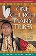 Rescuing The Gospel From The Cowboys A Native American