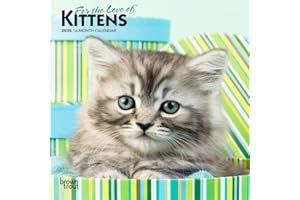 For the Love of Kittens | 2025 7 x 14 Inch Monthly Mini Wall Calendar | BrownTrout | Animals Cats Feline