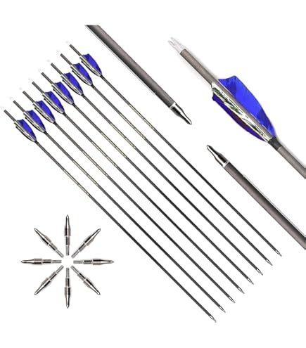 TIGER ARCHERY 30Inch Carbon Arrow Practice Hunting Arrows with