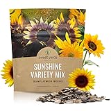 SWEET YARDS Sunflower Variety Mix 10 Types of
