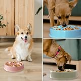 LOS ANDES Slow Feeder Dog Bowl 2.5 Cup Flower Design BPA Free view 2