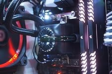 Review Image by Joe Petty