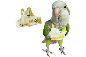 BARN ELEVEN Bird Flight Harness Vest, Parrot Suit for Cockatiels Conures Budgies, Flying Clothes Rope and Handle Outdoor Activities Training