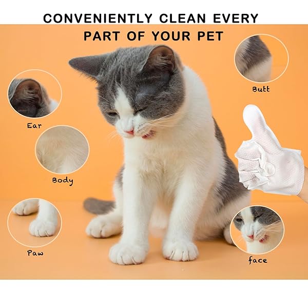PET WIPES FOR DOGS AND CATS, CAT WIPES DOG WIPES CLEANING DEODORIZING HYPOALLERGENIC CAT WIPES CLEANING FUR AND BUTT PET GROOMING GLOVES FOR DOGS,CAT CLEANING WIPES FOR DAILY CARE AND TRAVELING-6 PCS