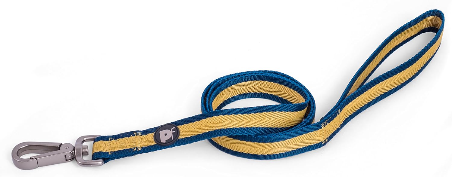 Petface Ocra Stripe Pattern Dog Lead, Medium, Neoprene, Large