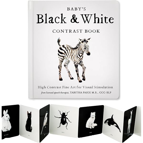 Amazon.com: Animals Black and White: 9780881069594: Tildes