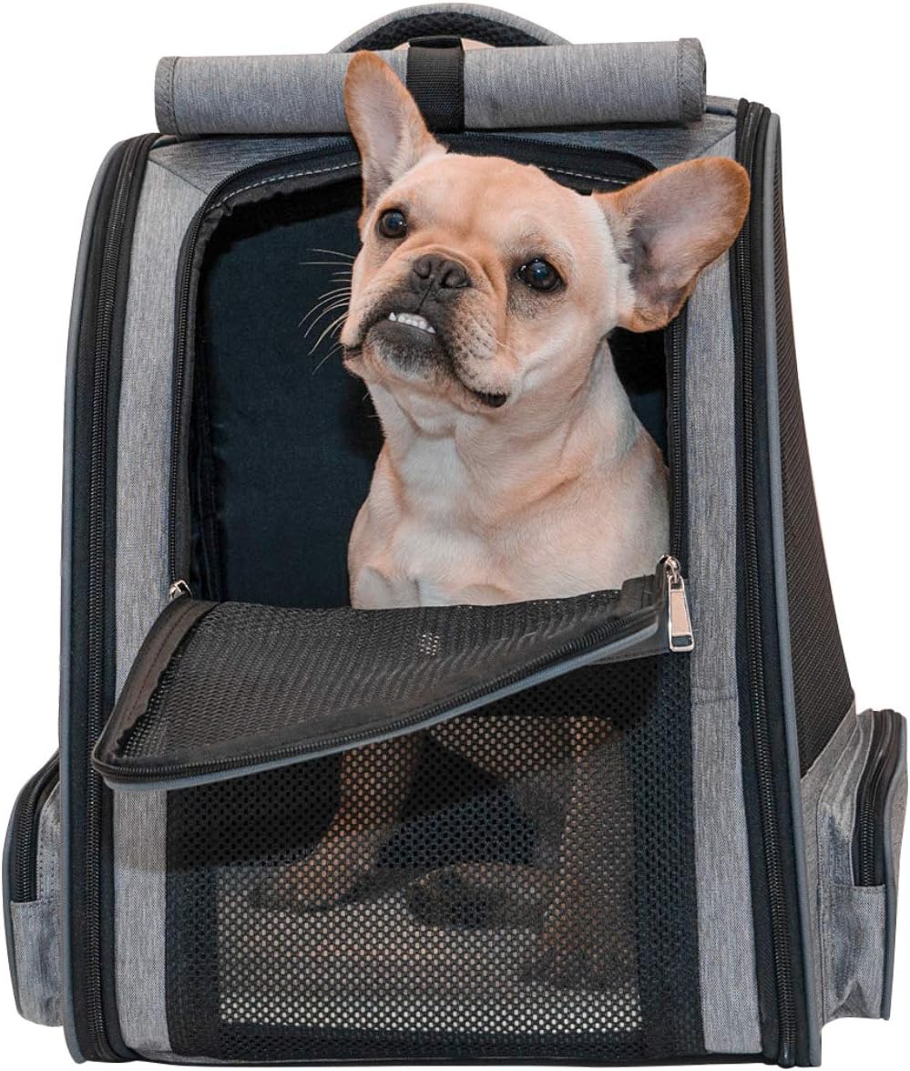 backpack pet carrier for cats