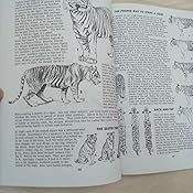 hamm download how animals draw to jack Animals (Perigee): 9780399508028 to Hamm: How Draw Jack