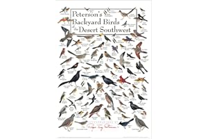 Earth Sky + Water - Peterson’s Backyard Birds of the Desert Southwest - Poster