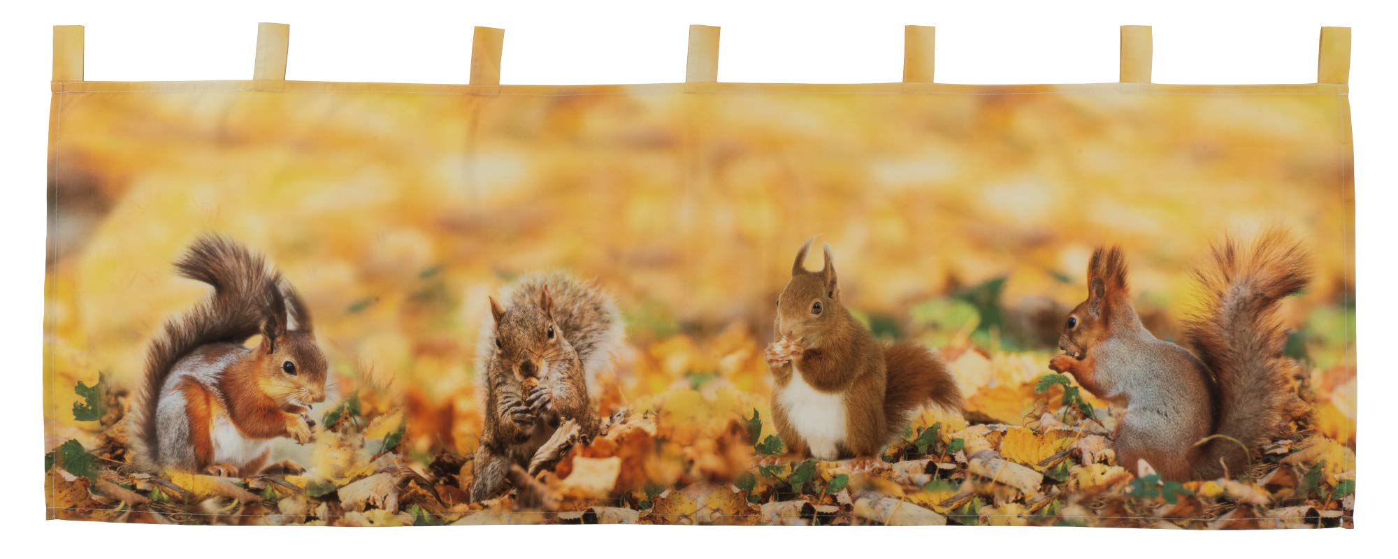 Raebel Window Curtain 45 x 120 cm Autumn Squirrel Panneau Bistro Curtain Yellow Colourful 100% Polyester
