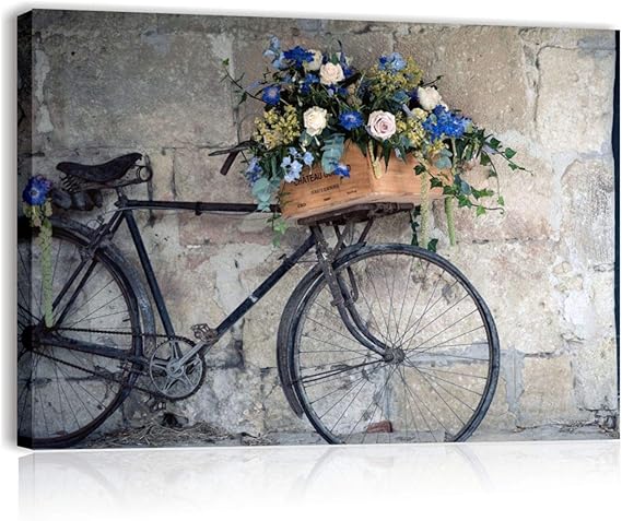 amazon biciclette da camera