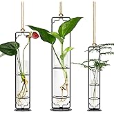 MIPON Plant Propagation Stations,Hanging Glass Propagation Test Tube Vases for Plants with Gold Metal Stand for Hydroponic Cutting Home Garden Office Decor-Black