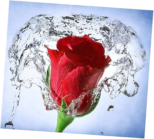 Cuadro De Estras Rosa Punto De Cruz Decoracion Pared Herramienta