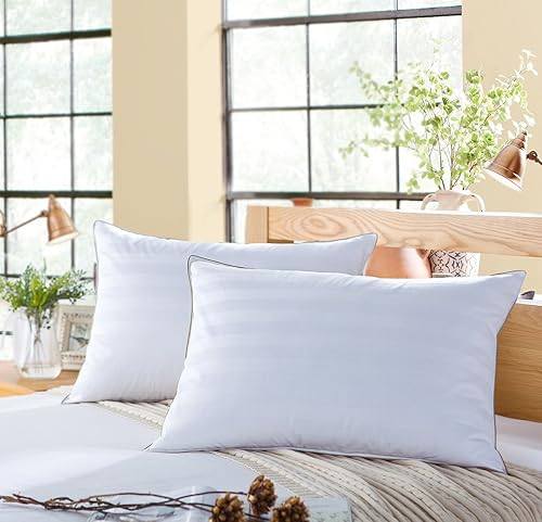 Amazon Queen Feather Pillows Puredown® Goose Feathers And Down