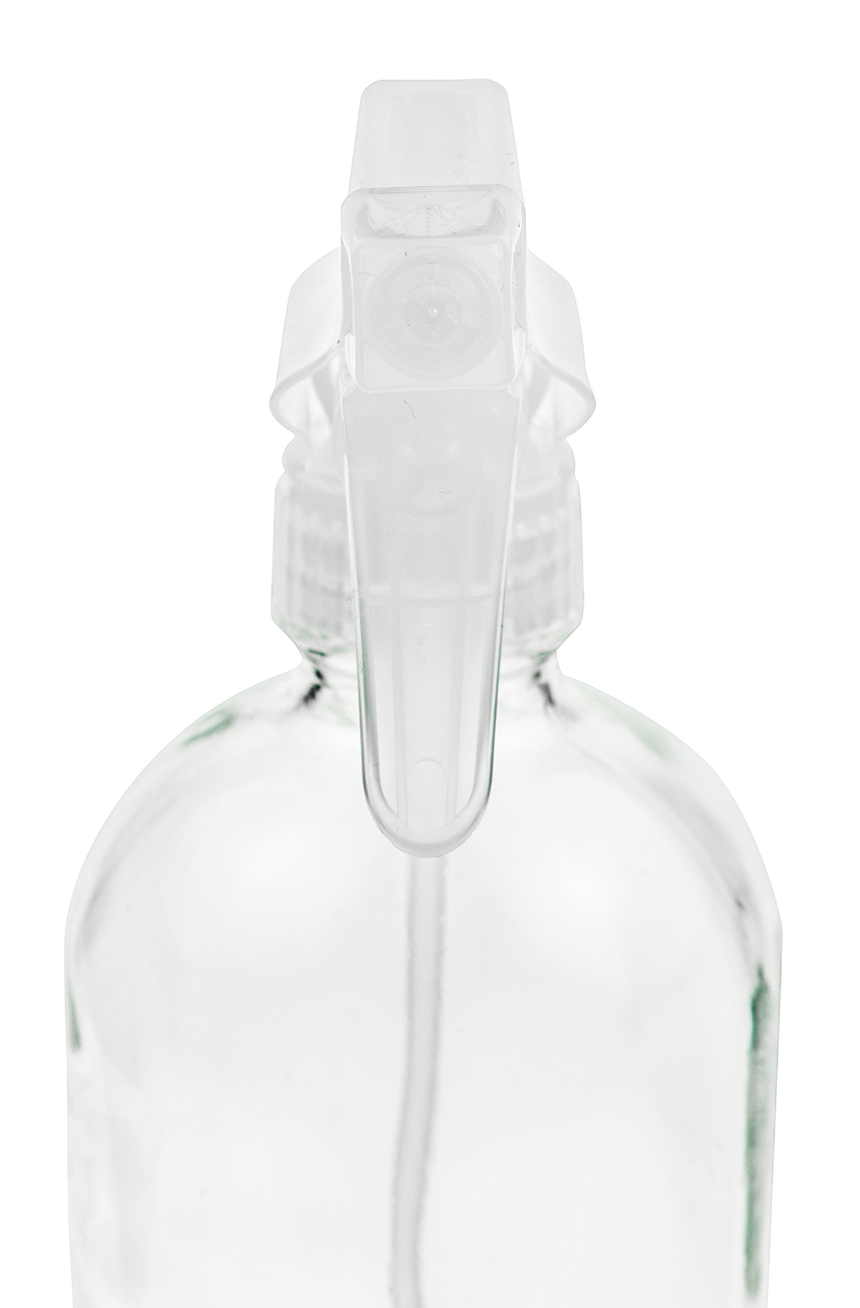 Glass Spray Bottle - Empty Refillable 16 oz