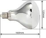 Komodo Solar D3 UV Basking Bulb 160W for Reptiles Desert Tropical view 6