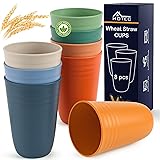 HOTEC 8-Pack 15oz Plastic Cups, BPA-Free Reusable
