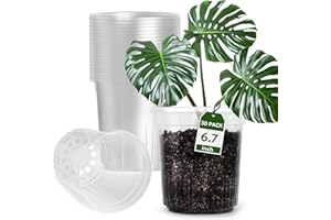 Bluepro 1 Gallon Reinforced Clear Nursery Pots with Drainage Hole 30 Packs, 6.7 Inch Transparent Pots Plastic Plant Pot Seedling Planter Seed Starter Pots Flower Pot for Cuttings and Transplanting