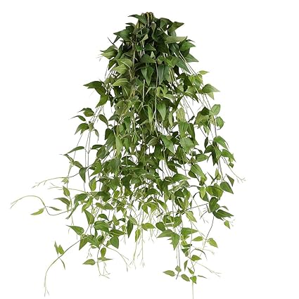 Amazon Com Joshe Artificial Hanging Plants Willow Vine