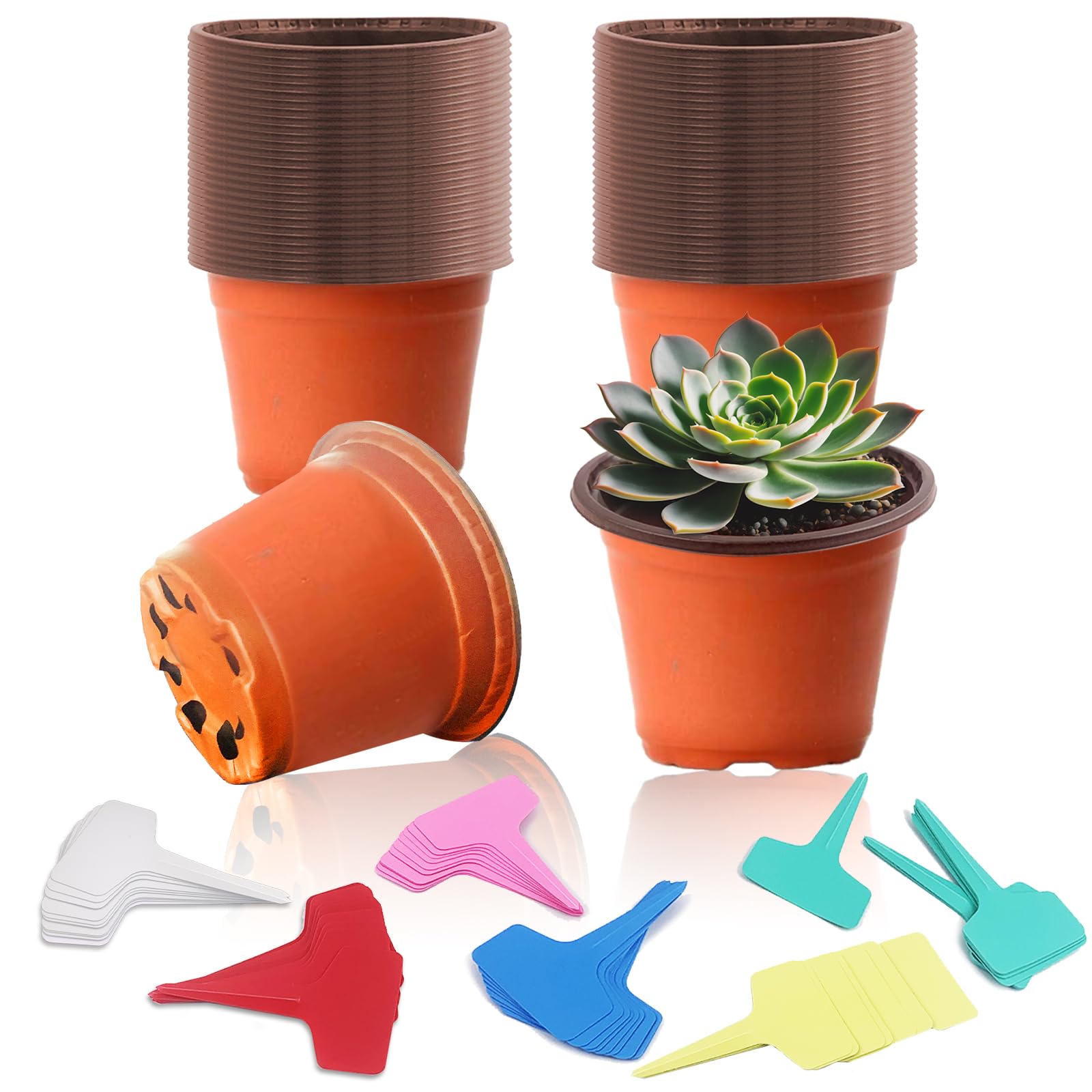 TAIHOBO Nursery Pots, Ø 11.3cm Plastic Plant Pots, 60PCS Reusable Plant Pot Fall-resistant and Sun-proof, Two-color Flower Pots with Drainage Holes, with 60 Plant Labels for Greenhouse and Outdoor