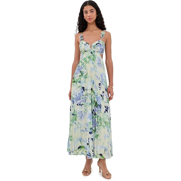 rasya pleated floral maxi dress ASTR the Label Women's Rasya Dress, White Blue Floral, S at Amazon Women's  Clothing store