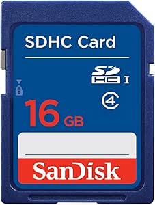 SanDisk Flash 16 GB SDHC Flash Memory Card SDSDB-016G (Label May Change)