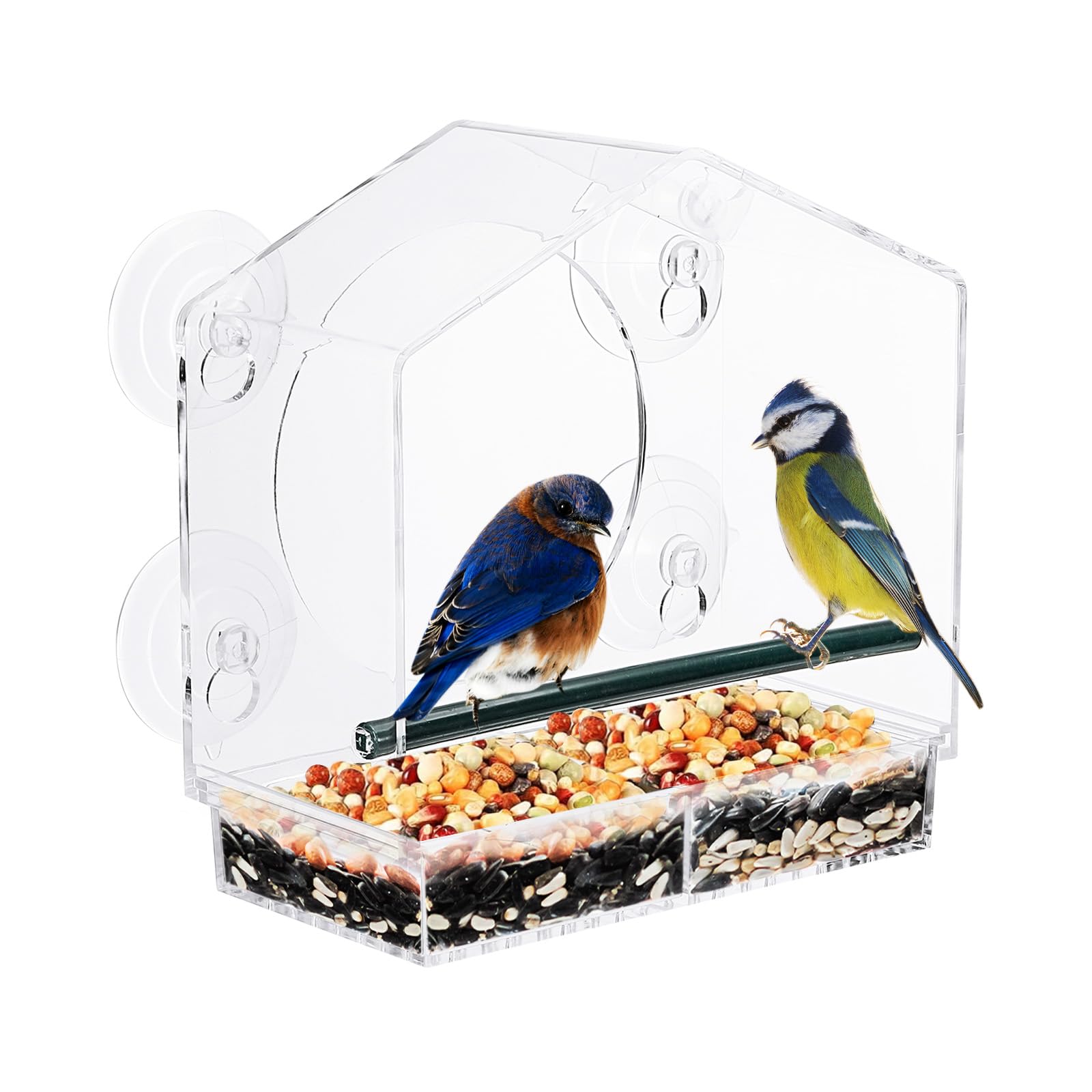 PATIKIL Window Bird Feeder for Outside 8x4x8inch, Acrylic Bird Houses with 4 Strong Suction Cups for Outdoor Bird, Transparent