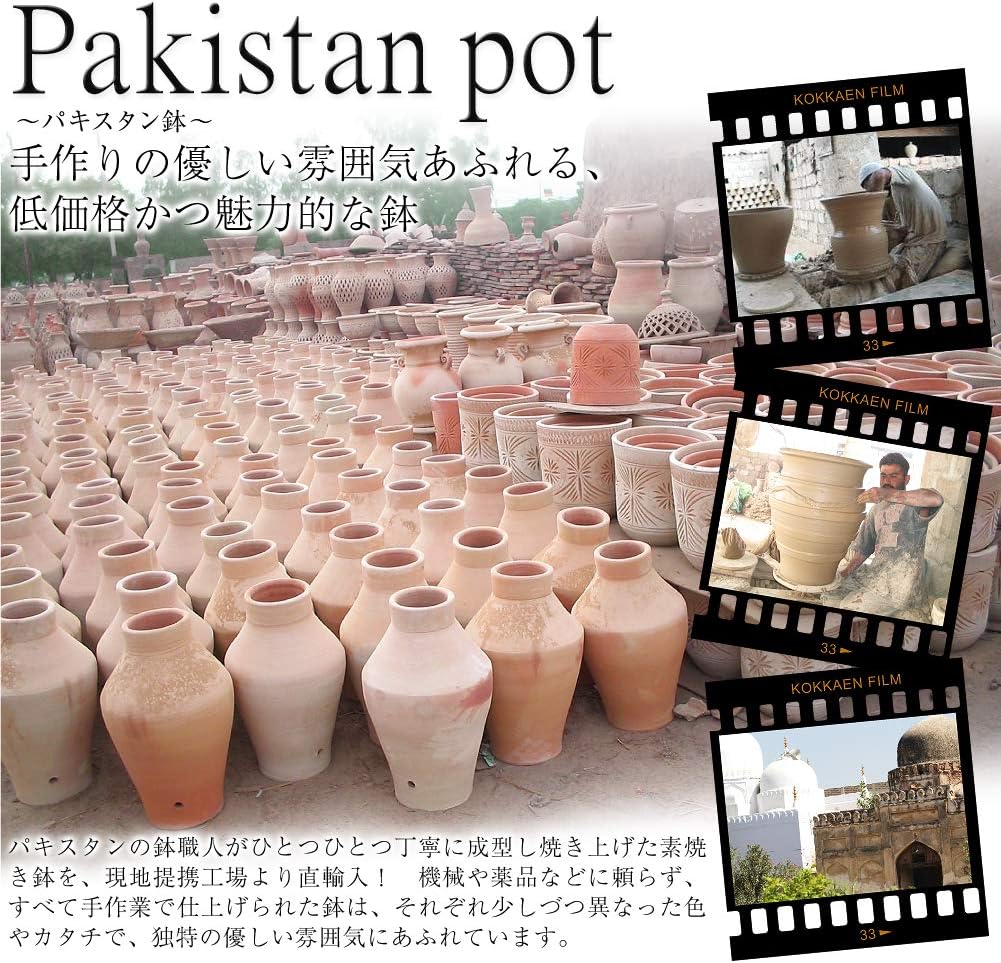 Amazon 国華園 植木鉢 テラコッタ パキスタン鉢 ディール 大1個 鉢