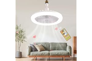 HYWYIMLAIT E26/E27 Ceiling Fan with Lights Remote, Mini 10 Inch Enclosed Low Profile Fan Light, Ceiling Light with Fan 3 Speeds 3 Light Color Dimming and Timing,Summer Gift for Bedroom Dormitory (White)