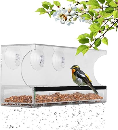 Amazon Com Bavision Window Bird Feeder With 3 Super Strong
