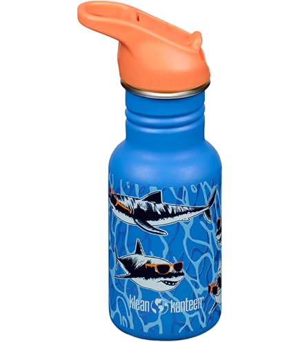 Amazon.com: Klean Kanteen 18 oz Classic Water Bottle with Flip