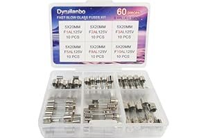 DYRUILANBO 5x20mm Mini fuses 125V 1A 2A 3A 5A 8A 10A amp Fast Blow Glass Fuses Assortment Kit 0.2x0.78Inch Small Glass Tube Fuse for String Lights for Outside（6 Values 60PCS） Fast-Acting