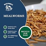 Walter’s Meal Worms (5L) Dried Mealworms for Wild Birds - Walter Products view 2