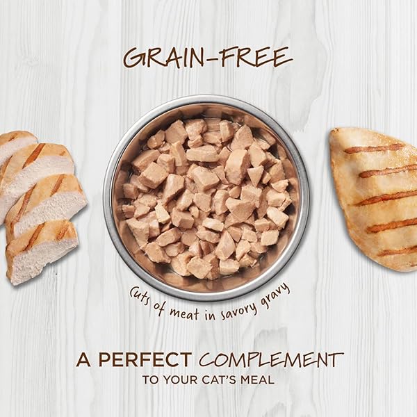 INSTINCT HEALTHY CRAVINGS GRAIN FREE REAL CHICKEN RECIPE NATURAL WET CAT FOOD TOPPER BY NATURE’S VARIETY, 3 OZ (PACK OF 24)