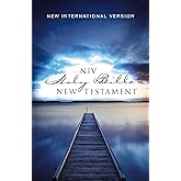 NIV, Outreach New Testament, Paperback