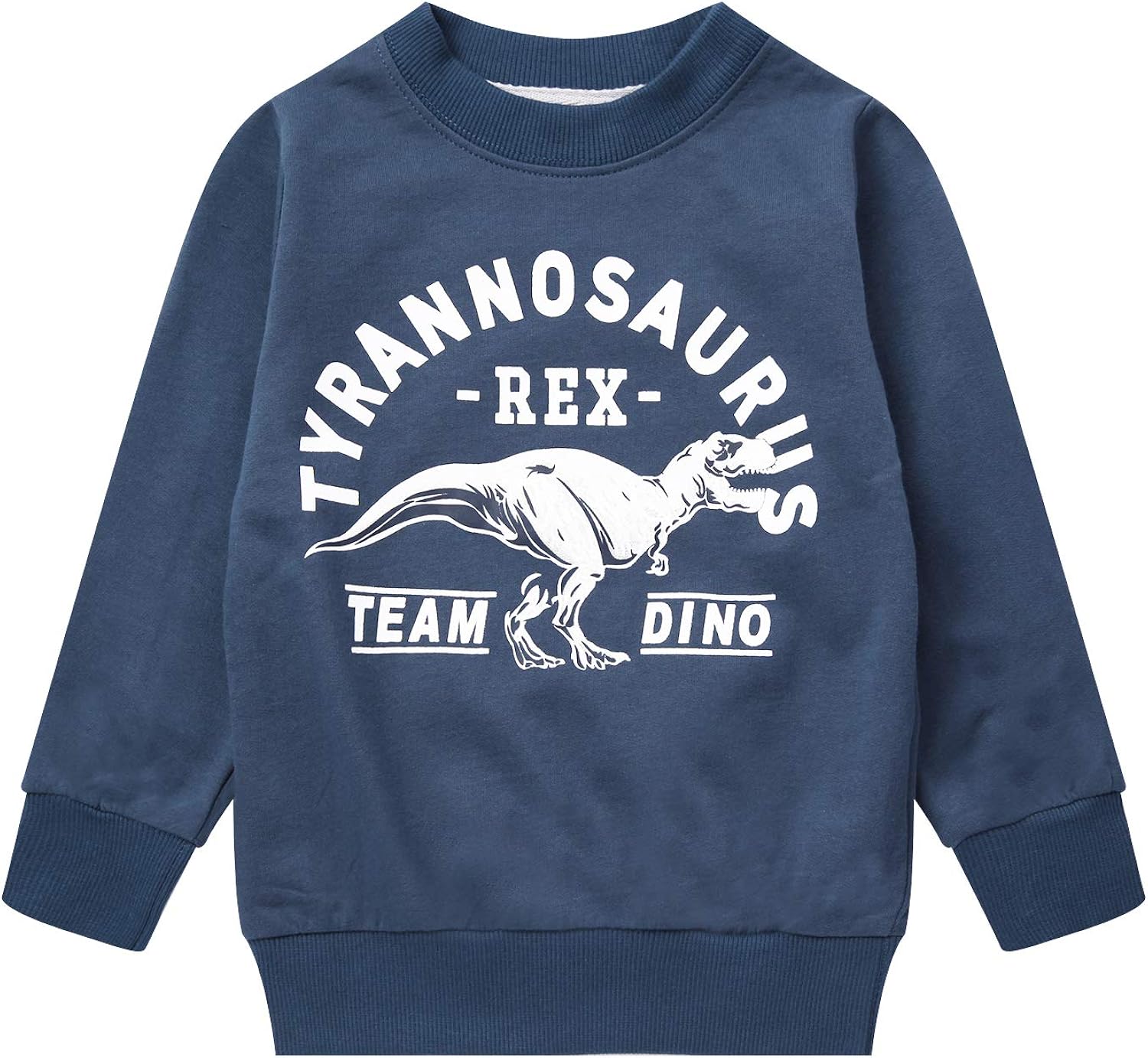 Boy Dinosaur Sweatshirts Toddler Long Sleeve Cotton Space Pullover Cartoon T-Shirts Sport Top Tee For Kids 2-7T: Clothing