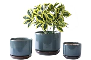 Yishang Succulent Plant Pots,6.7+5.3+4.1 in Glazed Ceramic Planters with Connected Saucers, Round Modern Ceramic Flower pots - Small to Large Sized Plant pots for All House Plants(Bright Blue)