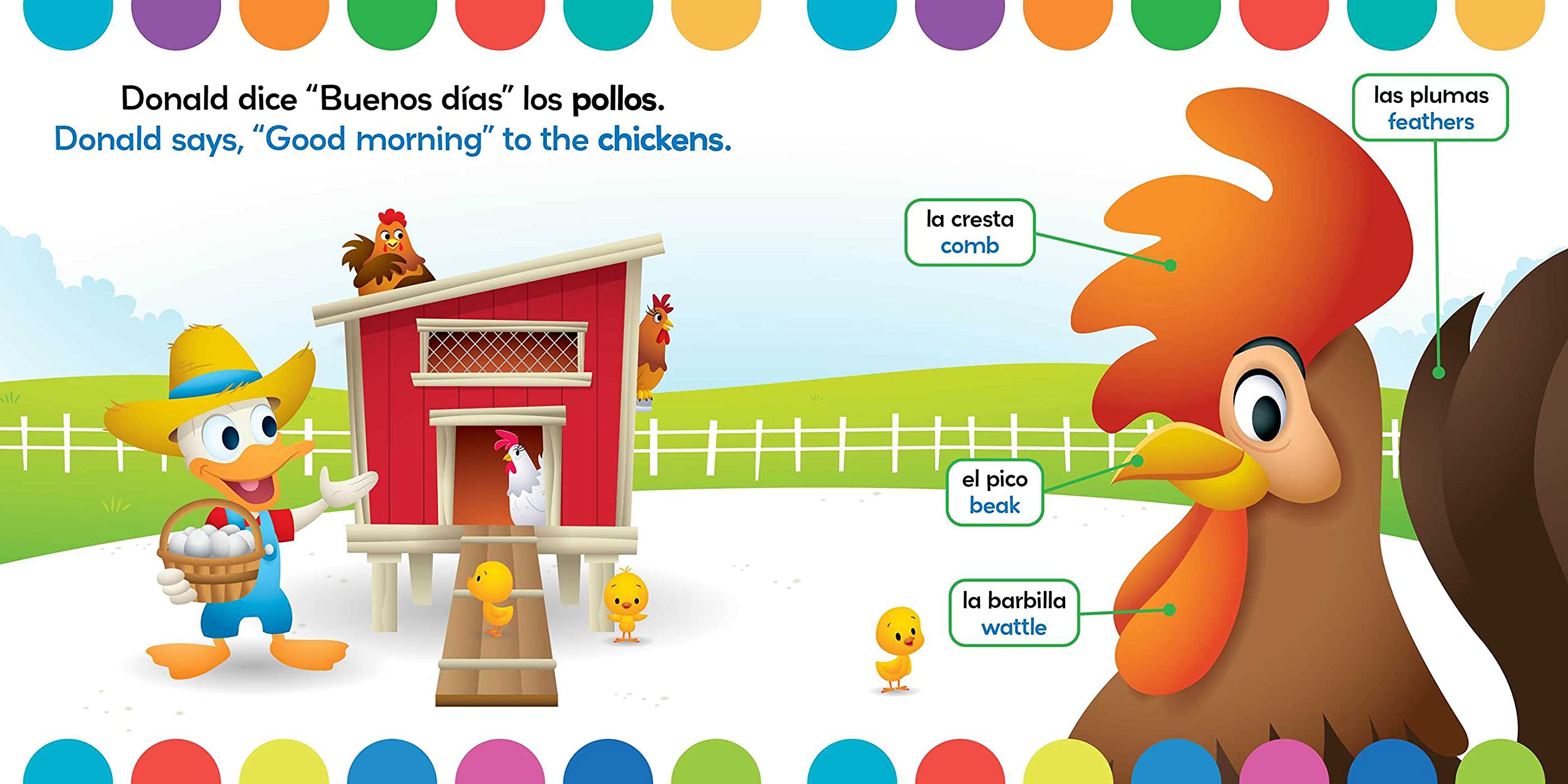 Cómo Se Dice En Inglés Gallina Amazon.com: Farm Animals / Animales de granja (English-Spanish) (Disney  Baby) (Disney Bilingual): 9781499809084: Cregg, R. J., Disney Storybook Art  Team, Collado Píriz, Laura: Books