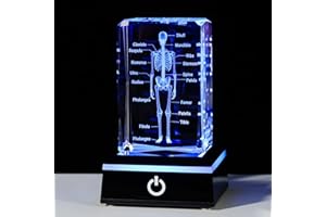 Movdyka 3D Human Skeleton Anatomy Model Doctor Psychology Graduation Gifts for Him Her, Laser Etched Crystal Skeleton Figurine Paperweight Science Biology Gift with Colorful LED Base