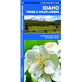 Amazon.com: Idaho Mountain Wildflowers: A Photographic Compendium, 3rd ed. (9780615588544): A ...