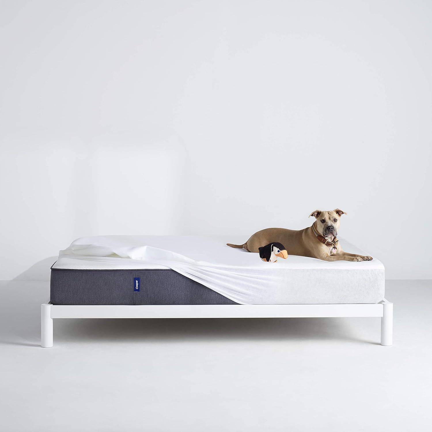 Casper Sleep Waterproof Mattress Protector, Full, White: Home & Kitchen