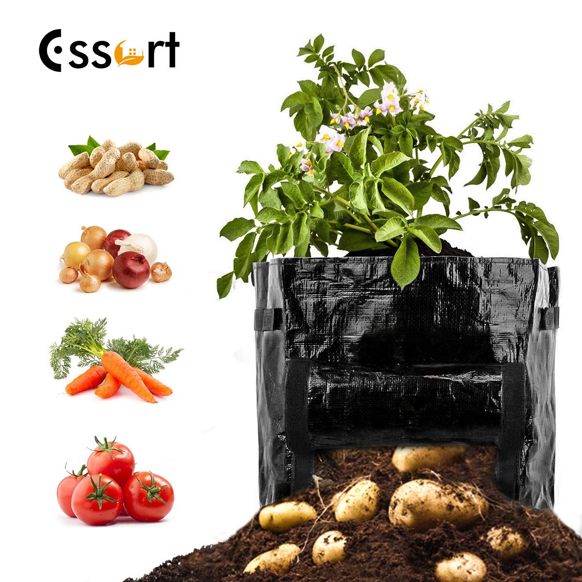 Best Garden Pots 8 Gallon